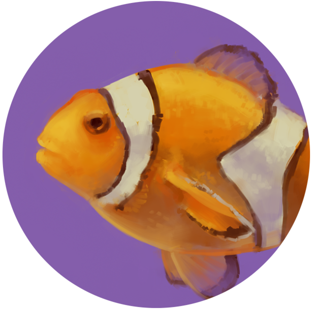 Mtjester's Clownfish
