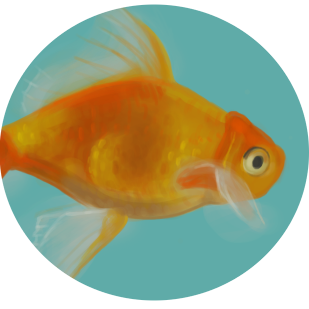 Docbe's Goldfish