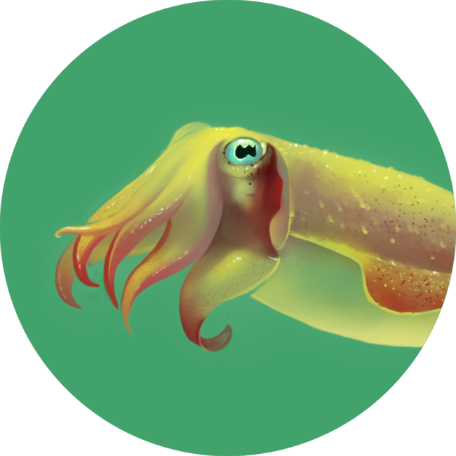 Pineywood's Cuttlefish